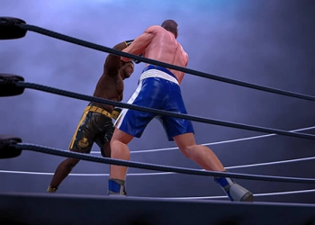 Ultimate Boxing Game